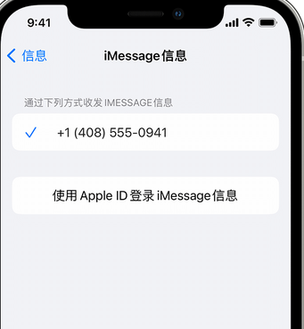 句容apple维修iPhone上无法正常发送iMessage信息 