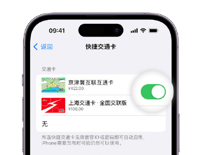 句容apple维修点分享iPhone上更换Apple Pay快捷交通卡手绘卡面 