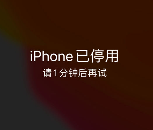 句容苹果手机维修分享:iPhone 显示“不可用”或“已停用”怎么办？还能保留数据吗？ 