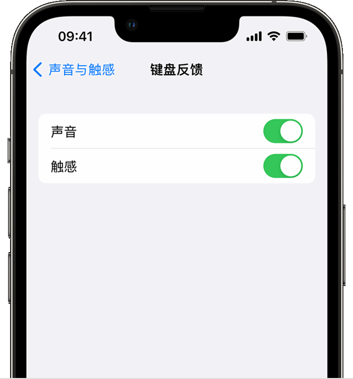 句容苹果14维修店分享如何在 iPhone 14 机型中使用触感键盘 