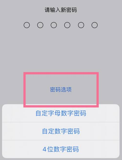 句容苹果14维修分享iPhone 14plus设置密码的方法 